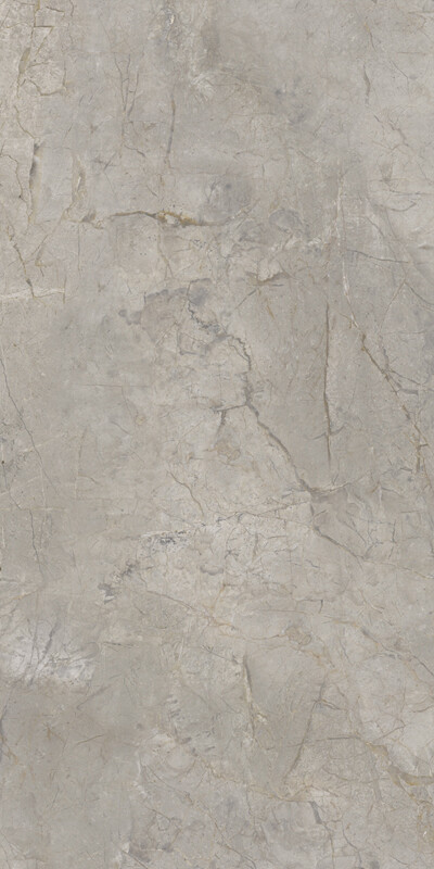 Elements Lux Silver Grey 60X120 Lappato 
