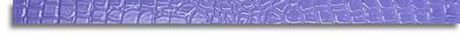 LISTELLO LILLA CROCOJOY 3.8X72