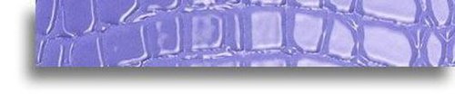 LISTELLO LILLA CROCOJOY 3.8X24