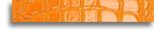 LISTELLO ORANGE CROCOJOY 3.8X24