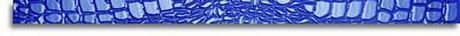 LISTELLO BLUE CROCOJOY 3.8X72