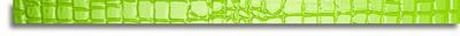 LISTELLO GREEN CROCOJOY 3.8X72