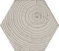 HEXA-STYLE ARBRE IVORY 11X12,6
