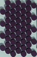 DECORO SMARTIES AMARANTH SU RETE 20.5X35