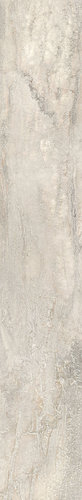 20X120 ALMOND RETT.