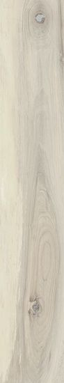 20X120 CATLINS LAPP/RETT