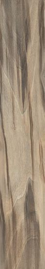 20X120 FIORDLAND RETT.