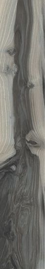 20X120 VICTORIA LAPP/RETT