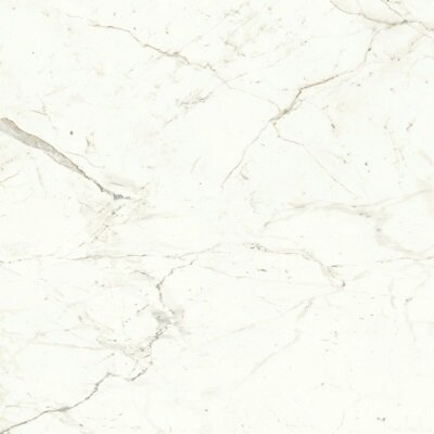Marvel Calacatta Prestigio 120x120 Matt