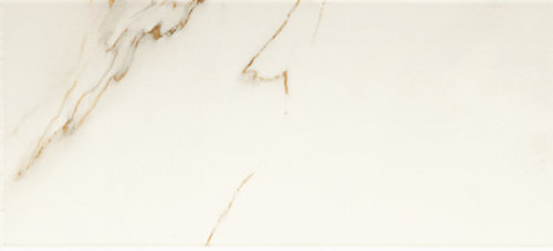 CALACATTA D WALL 25X56