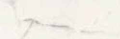 STATUARIO LIV.SQ.SPAZZ. 20X60