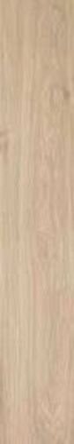 ACANTO MIELE RET(48) 20X120