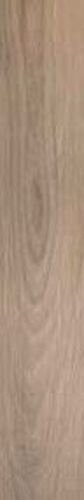 ACANTO ROVERE RET(48)20X120