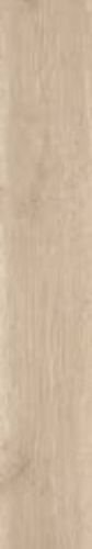 NEW BIRCH RET CL 20X120