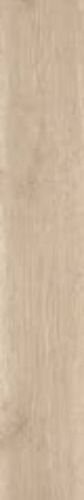NEW BIRCH RET RA 20X120