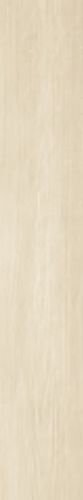 NEW MAPLE RET RA 20X120