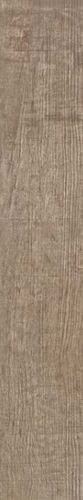 GOLDEN SUNSET RET(48)20X120