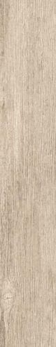 NORDIC LAND RET CL(4820X120