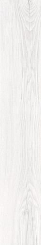 GROW WHITE SP/24X151/R