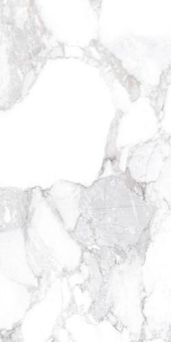 HAUTE WHITE SP/60X120/R