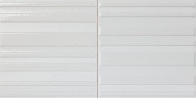 RAS SILVER/20X40