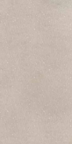 EARTHTECH DESERT_GROUND NAT 6MM 60X120 R