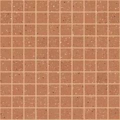 EARTHTECH OUTBACK_FLAKES GLOSSY-BRIGHT MOSAICO 30X30