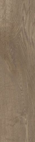 ARCO MAPLE NATURAL