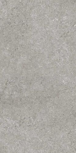 SENSI GREY FOSSIL NAT 6MM 120X240 R