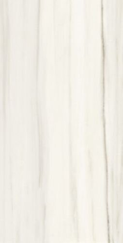 HBO15 RETT. 30X60 SHINE