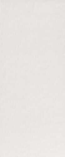MILANO MOOD 50X120 GHIACCIO MATT