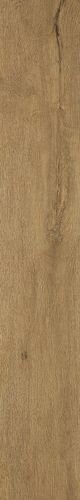 ROOTS 20X120 GOLD MATT R9