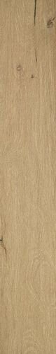 ROOTS 20X120 HONEY MATT R9