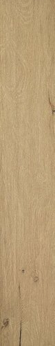 ROOTS 20X120 HONEY OUT R11