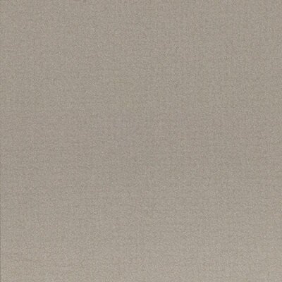 EARTH GRIGIO2
