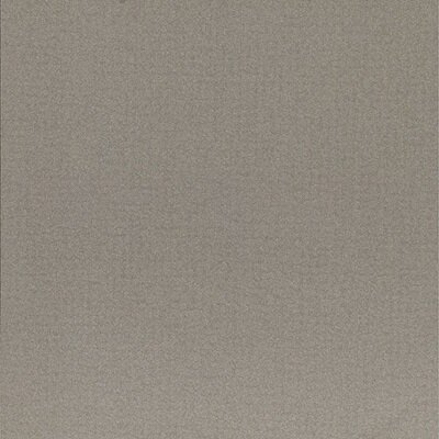 EARTH GRIGIO3