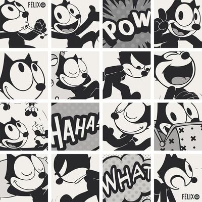 FELIX CATISBACK 20X20