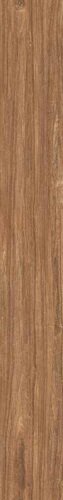 KOA