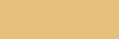 SPRING YELLOW