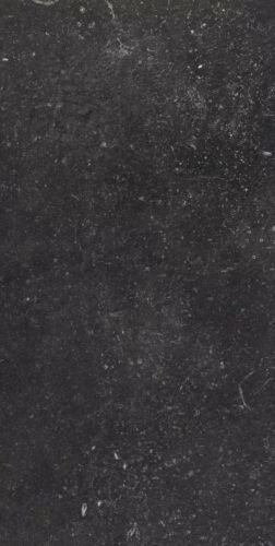 ATMOSPHERES MISTER PAT SMOOTH R9 30X60 R