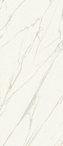 Metropolis Calacatta Gold 120X278