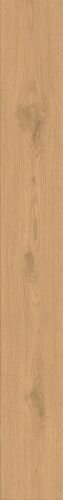 Entice Pale Oak Natural 18,5x150