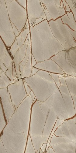 NATURE MOOD RAINFOREST GLOSSY 6MM 120X240 R