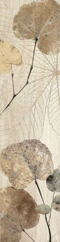 FI10 FOLIAGE 20X80