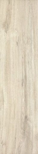 FI10 30X120 RETT. PLUS