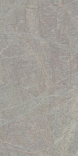OYSTER GREY LUCIDO