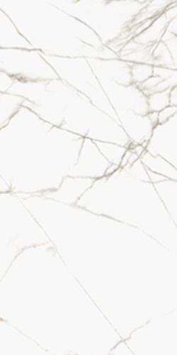 TITAN WHITE LUCIDO 6MM
