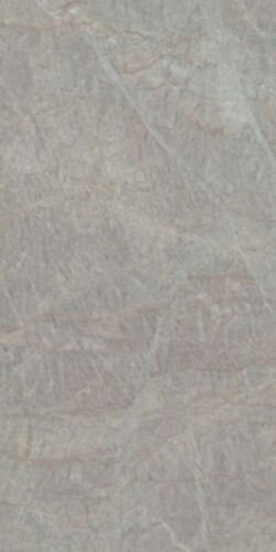 OYSTER GREY LUCIDO