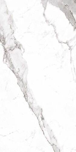 STATUARIO ALTISSIMO LUC.A