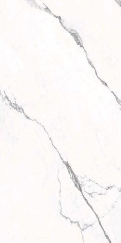 STATUARIO FINE LUCIDO ASP